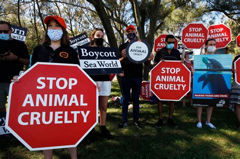 world animal protection scandal|World Animal Protection .